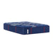 Albany II Mattress - J. Patrick’s Furniture (Pooler, GA)