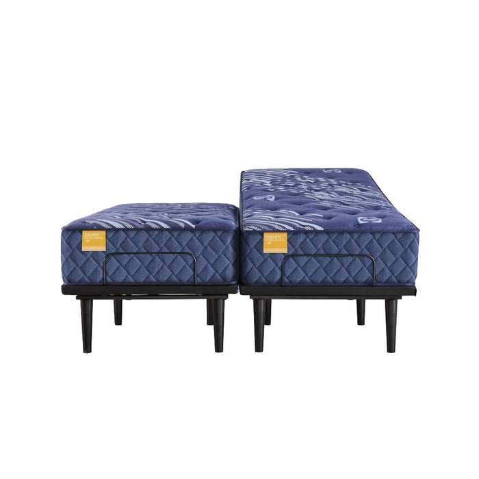 Sealy Remmington Innerspring Mattress