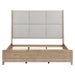 Brentwood King California Uph Bed image