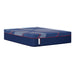 Albany II Mattress - J. Patrick’s Furniture (Pooler, GA)