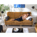 TREVIN COLLECTION STATIONARY SOFA W/2 PILLOWS- S38DW - J. Patrick’s Furniture (Pooler, GA)