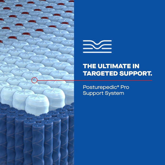Sonterra Spring Mattress