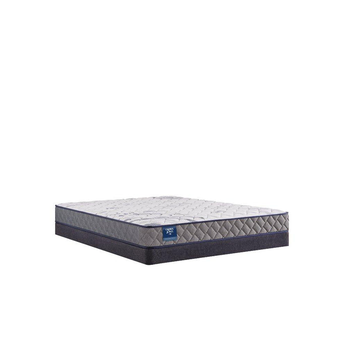 First & Park Foam Mattress