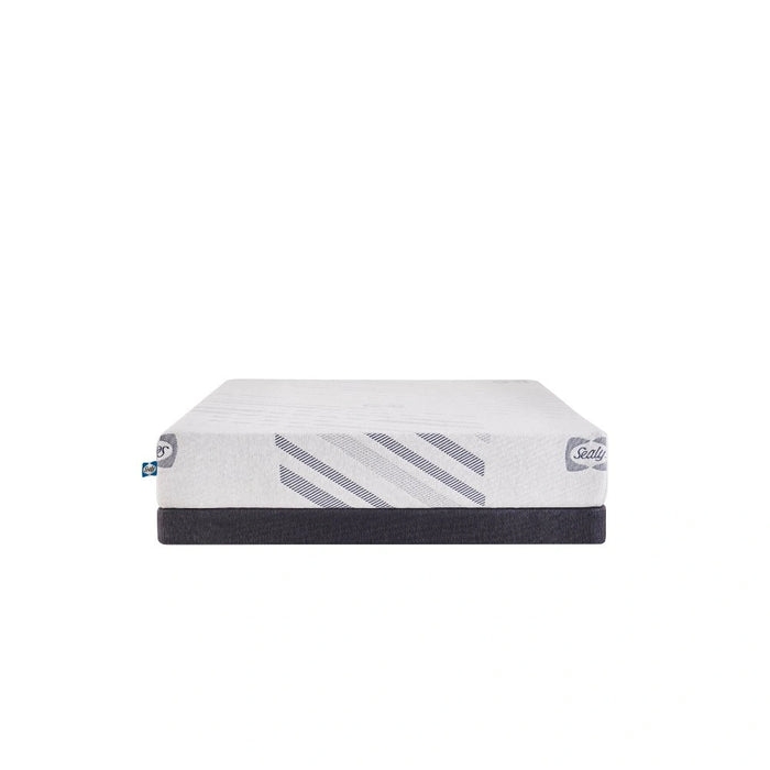 Sealy Provision Foam Mattress